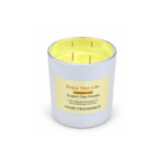 10cm Double Wick Aromatherapy Jar Candle with English Pear Freesia Scent and Silver Rim for Home Fragrance