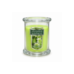 11cm Aroma Botanical Glass Jar Scented Candle with Thick Base and Shield Flower Label for Home Fragrance
