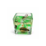 6cm Square Clear Jar Candle with Embedded Dried Botanicals and Colored Wax Chunks for Home Decor and Gifting