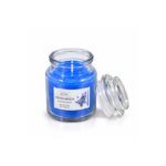 8cm Soy Wax Scented Jar Candle with Clear Stacked Lid and Botanical Label for Home Fragrance and Gifting